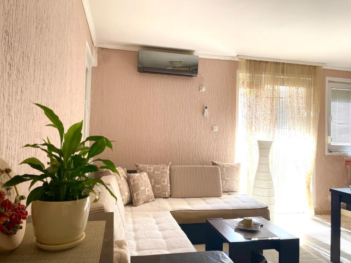Studio Apartment For Rent In Budva Exterior photo
